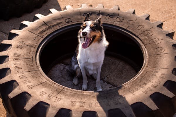 Tout savoir sur les pneus firestone : performances et choix